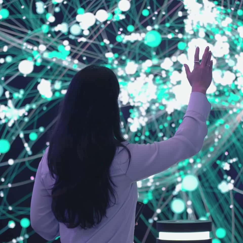 Large-scale immersive data visualization wall